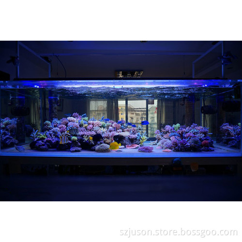 High Lumen Coral Reef LED Dimmable Aquarium Light Marine Aquarium LED Lighting